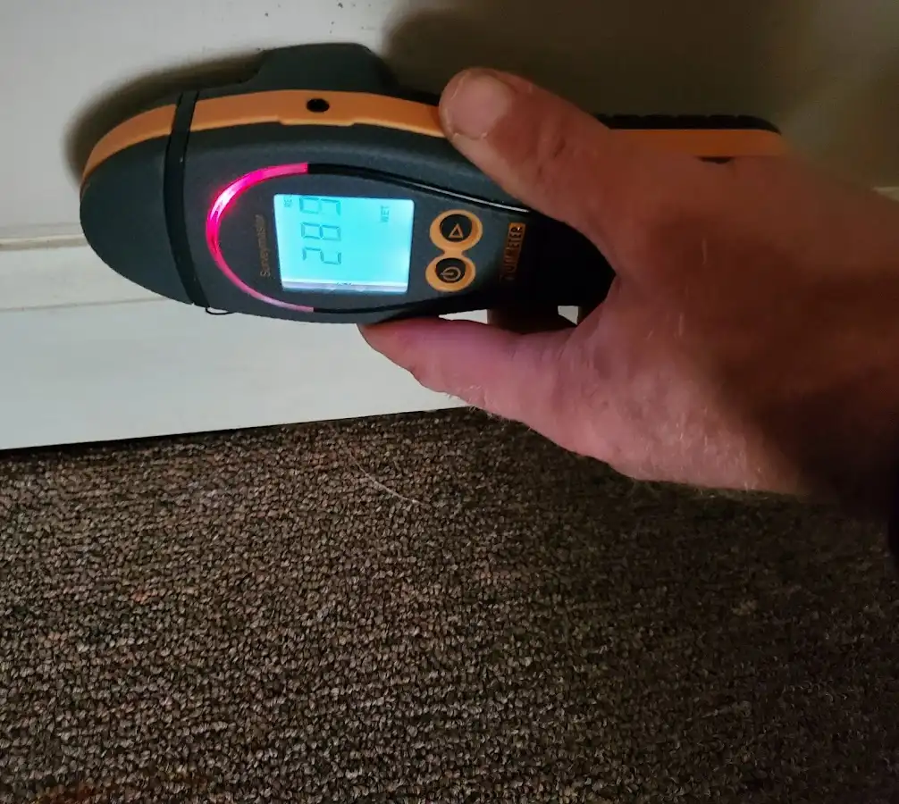 Moisture detection at baseboard during Sewage Cleanup & Sanitation in Wytheville